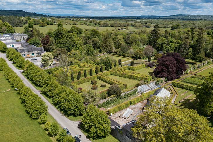Helping Strokestown Park to Bloom