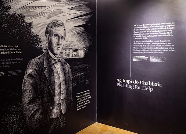 Museum tours at Strokestown Park showcasing historical exhibits and guided visitor experiences.