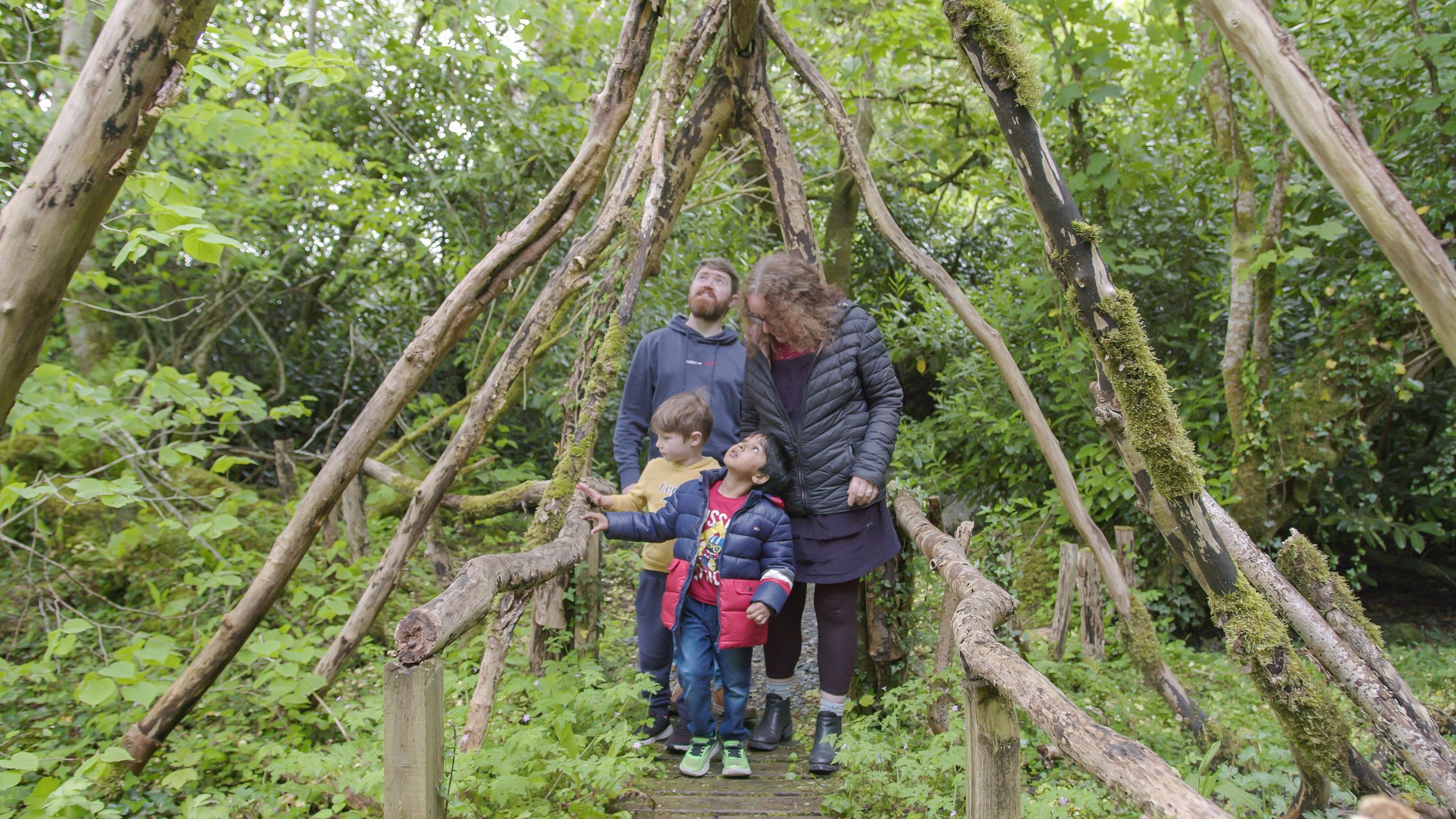 Woodland walk bridge