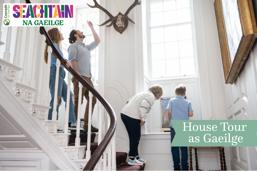Curious and happy visitors, on the staircase of Strokestown Park House.