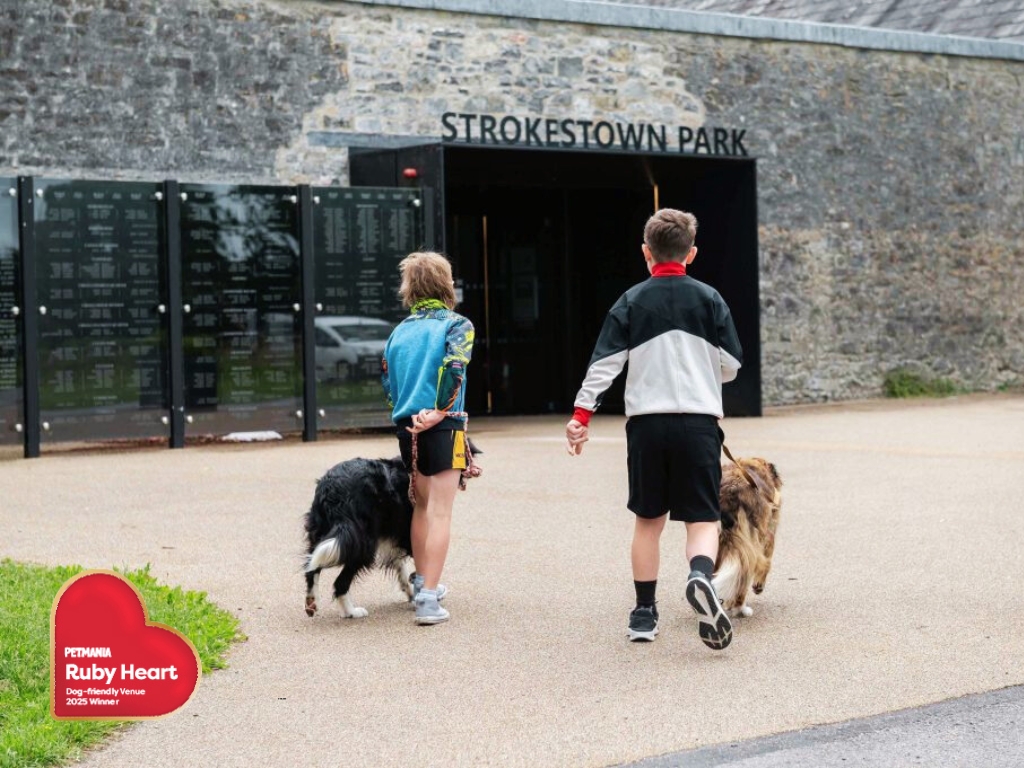 Two young boys with dogs on leads walking toward the stone walled entrance of Strokestown Park House