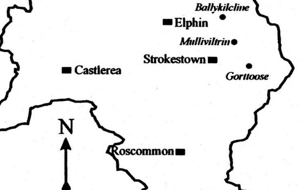 Map of Archaeological Excavations on Strokestown Park Estate