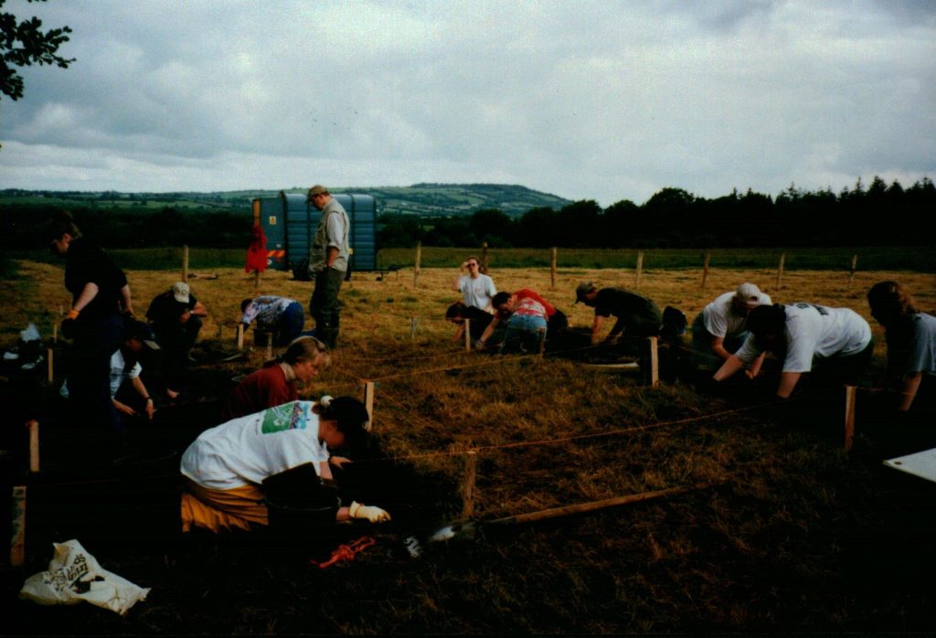 Mulliviltrin excavation